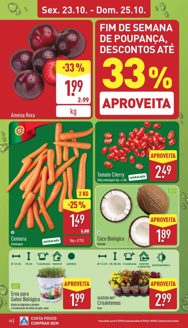 Crisântemos Vaso APROVEITA