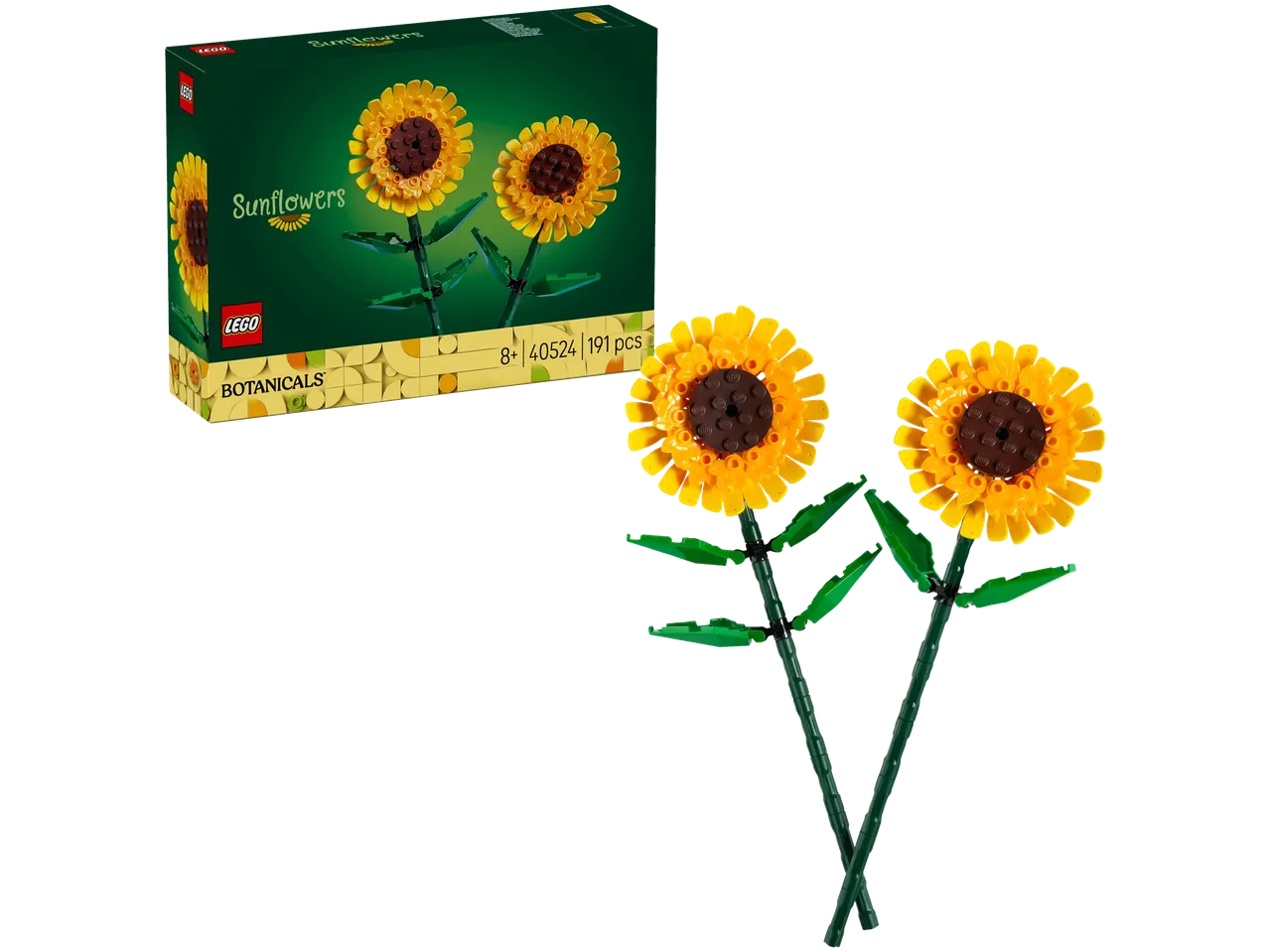 Flores